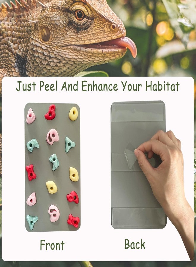 Okueejur 3D Reptile Climbing Wall, Natural Textured Habitat Decor for Bearded Dragons, Leopard Geckos, Lizards, Snakes, Frogs & Amphibians – Terrarium & Paludarium Tank Accessories - Image 5