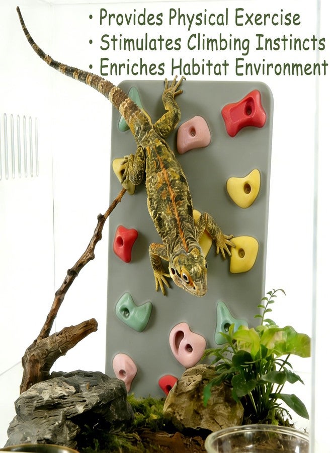 Okueejur 3D Reptile Climbing Wall, Natural Textured Habitat Decor for Bearded Dragons, Leopard Geckos, Lizards, Snakes, Frogs & Amphibians – Terrarium & Paludarium Tank Accessories - Image 3