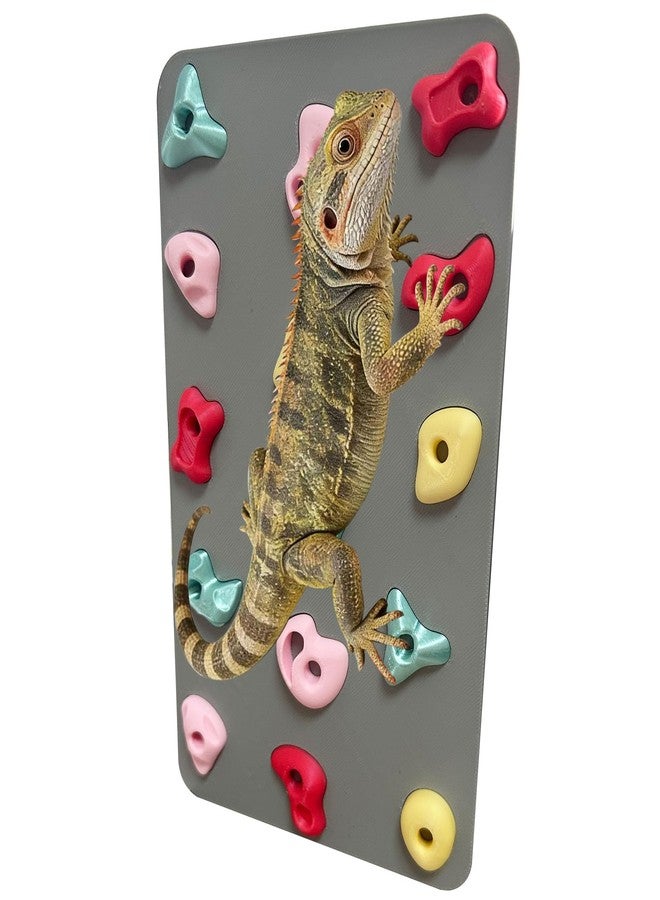 Okueejur 3D Reptile Climbing Wall, Natural Textured Habitat Decor for Bearded Dragons, Leopard Geckos, Lizards, Snakes, Frogs & Amphibians – Terrarium & Paludarium Tank Accessories - Image 1