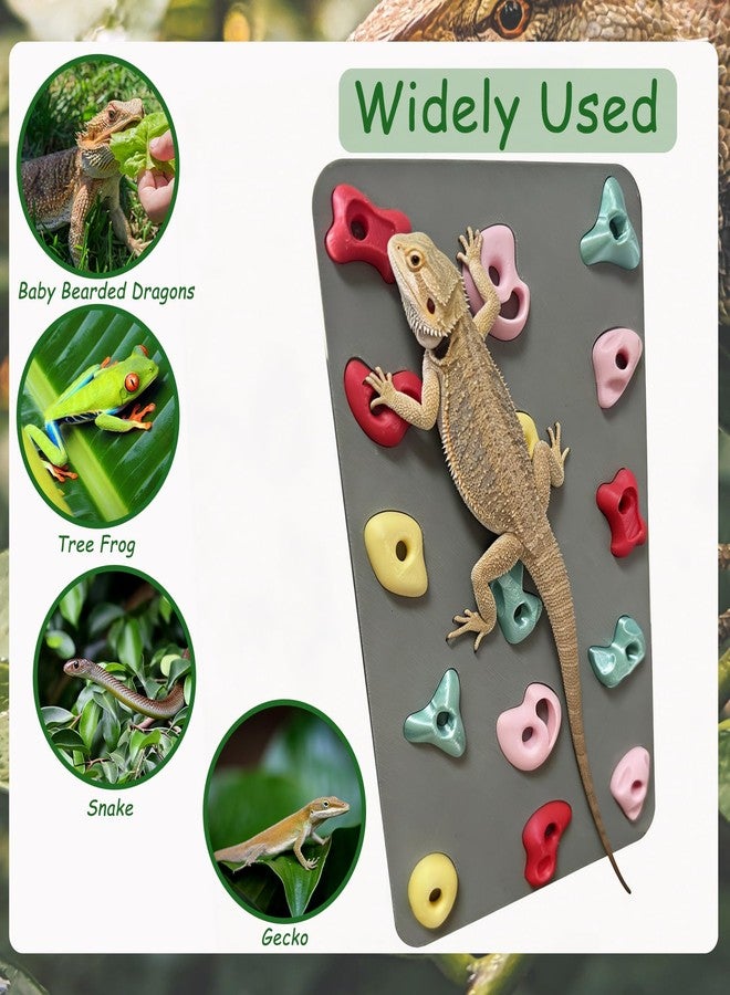 Okueejur 3D Reptile Climbing Wall, Natural Textured Habitat Decor for Bearded Dragons, Leopard Geckos, Lizards, Snakes, Frogs & Amphibians – Terrarium & Paludarium Tank Accessories - Image 4