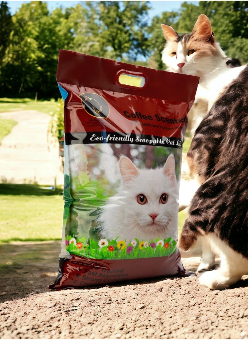 GOLDEN CAT - Cat Litter,Clumping 10 L 100% Natural Bentonite,Dust Free,Forever Fresh, Pet-Friendly, Fighting with Odors Marseille, Coffee Scented - Image 1