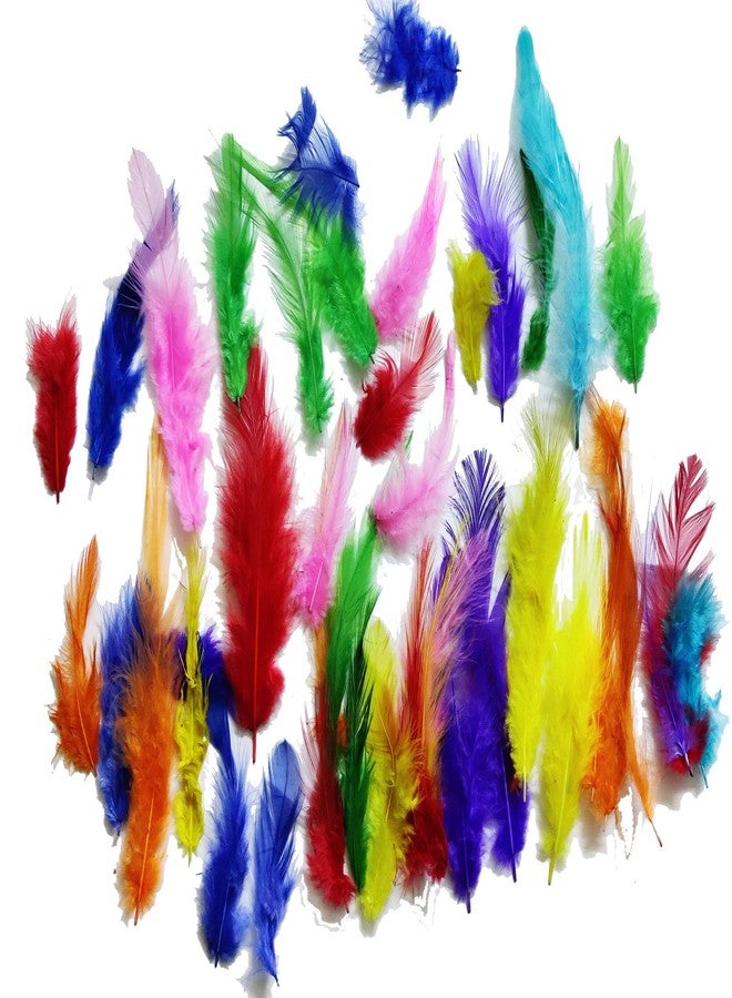 آرت بوكس مجموعة ريش ARTBOX متعددة الألوان مصبوغة طبيعياً، تحتوي على حوالي 40 قطعة، مناسبة للأعمال الفنية والحرفية / مشاريع الأطفال / المجوهرات / صائد الأحلام / الزينة | ألوان جذابة متنوعة الأحجام - Image 4