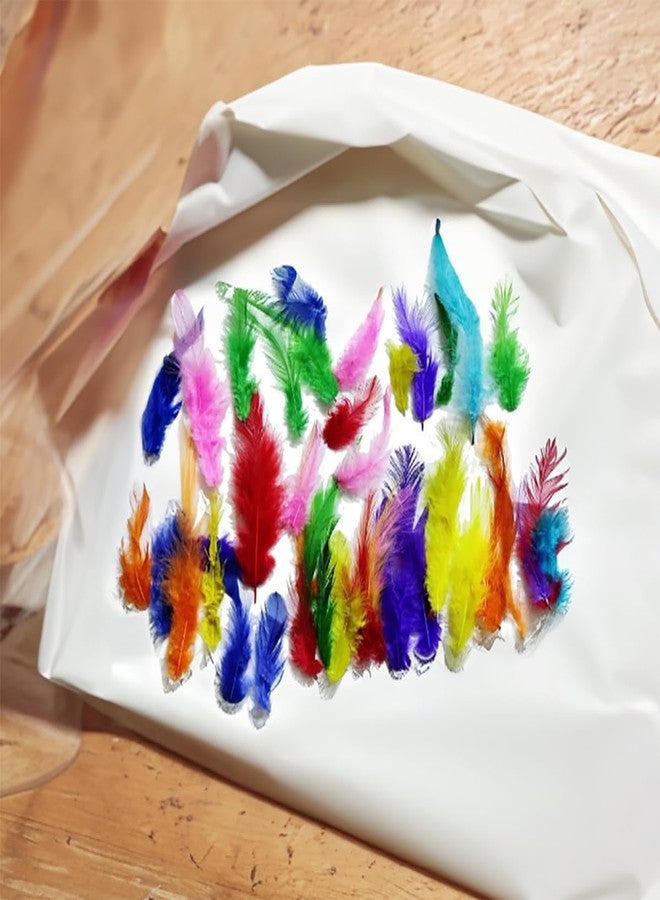 آرت بوكس مجموعة ريش ARTBOX متعددة الألوان مصبوغة طبيعياً، تحتوي على حوالي 40 قطعة، مناسبة للأعمال الفنية والحرفية / مشاريع الأطفال / المجوهرات / صائد الأحلام / الزينة | ألوان جذابة متنوعة الأحجام - Image 1