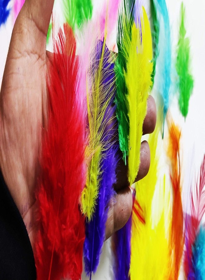 آرت بوكس مجموعة ريش ARTBOX متعددة الألوان مصبوغة طبيعياً، تحتوي على حوالي 40 قطعة، مناسبة للأعمال الفنية والحرفية / مشاريع الأطفال / المجوهرات / صائد الأحلام / الزينة | ألوان جذابة متنوعة الأحجام - Image 3