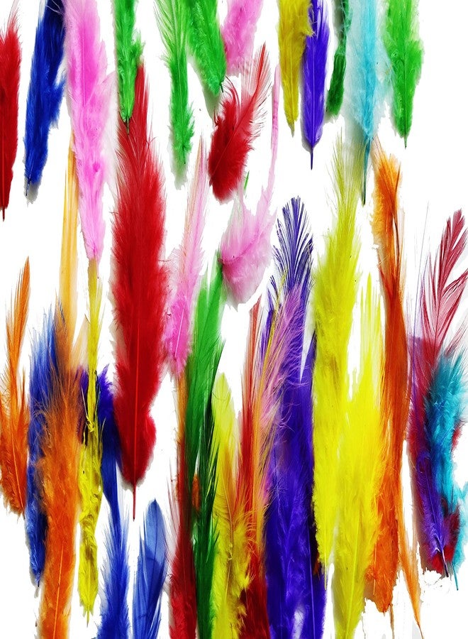 آرت بوكس مجموعة ريش ARTBOX متعددة الألوان مصبوغة طبيعياً، تحتوي على حوالي 40 قطعة، مناسبة للأعمال الفنية والحرفية / مشاريع الأطفال / المجوهرات / صائد الأحلام / الزينة | ألوان جذابة متنوعة الأحجام - Image 5