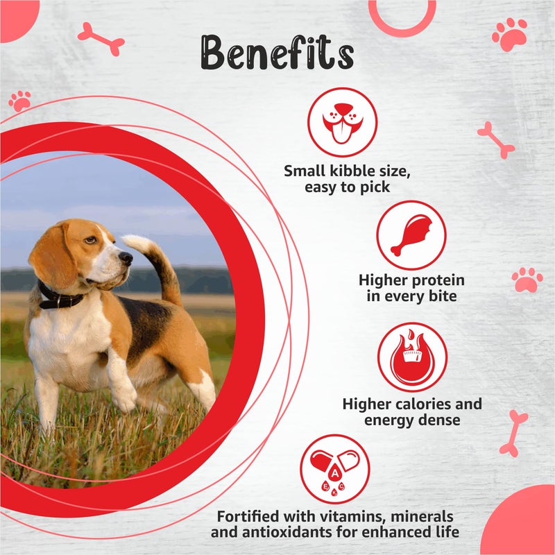 Drools Small Breed Adult Dog Food, 1.2kg + Free Creamy Dog Treat (75g) - Image 2