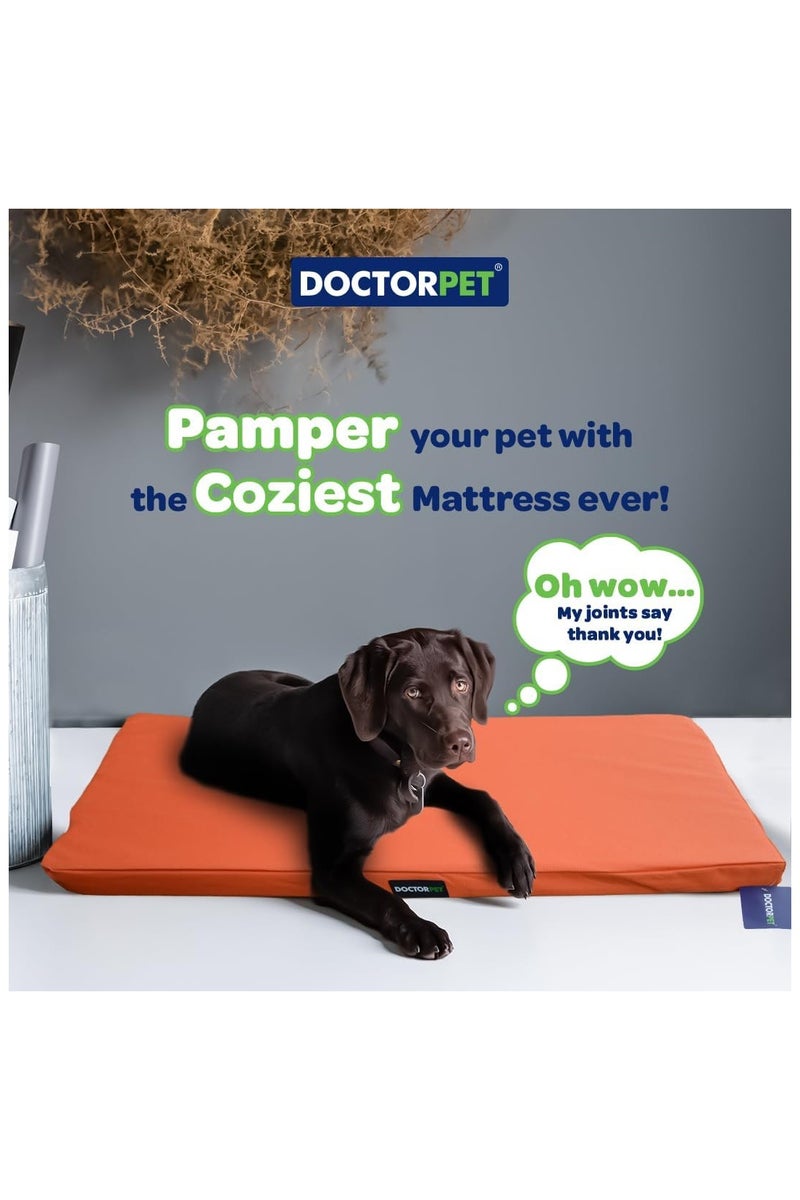 DOCTERPET Doctor Pet Gelato Series Crate Mattress Large - 61x92x6cm - Orange - Soft Washable Fabric, Cooling Effect, Eco-Friendly Fill, Non-Slip Base – Ideal for Medium to Large Dogs - Image 4