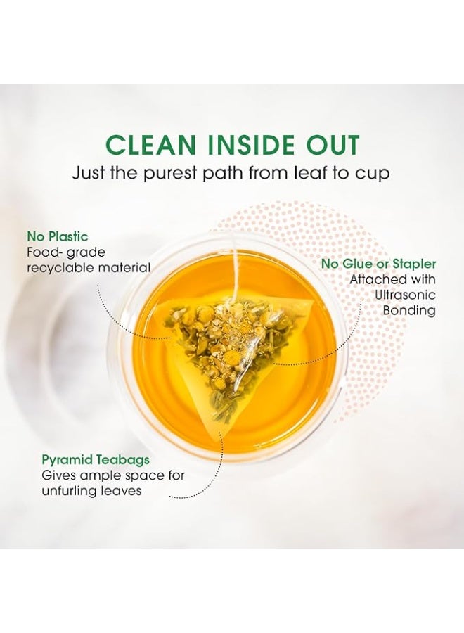 Teabox حزمة عينات الشاي الأخضر من Teabox Wellness - 20 كيس شاي متنوع، 10 نكهات × 2 كيس من كل نكهة | أوراق كاملة، 0% مرارة | حزمة متنوعة من الشاي الأخضر تناسب كل حالة مزاجية - Image 5