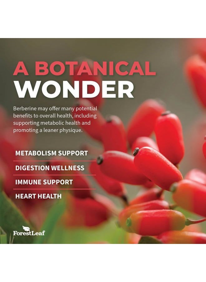 ForestLeaf - Berberine Supplement 1300mg per Serving- 97% Tested Ultra High Potency Berberine HCl with Ceylon Cinnamon, Bitter Melon & Gymnema, 10:1 Extract Berberis Supplements, Weight Management, 90 Veggie Caps - Image 1