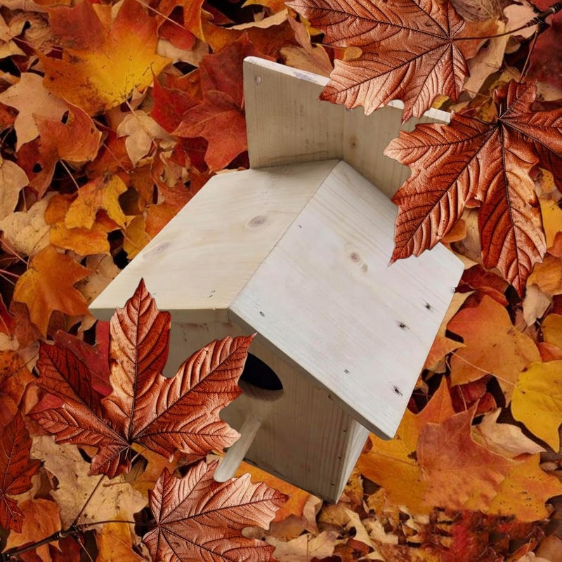 Glitz بيت الطيور | عش خشبي مصنوع يدويًا للعصافير | بيت طيور مثبت على الحائط من الخشب الصلب | ملجأ طيور متين وزخرفي - Image 4