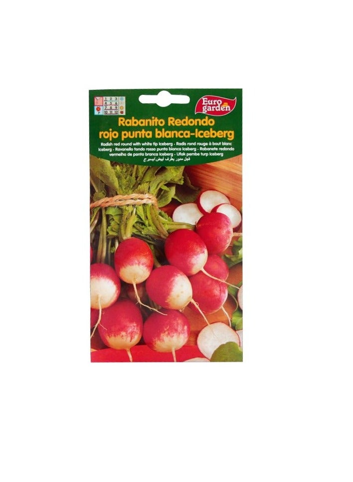 KNP EG Radish Iceberg Seeds
