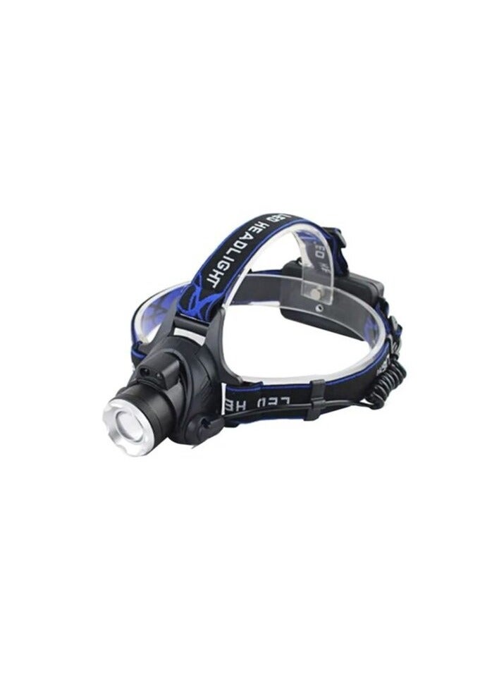 PROMASS Outdoor Induction LED Head Light 260 x 200millimeter 