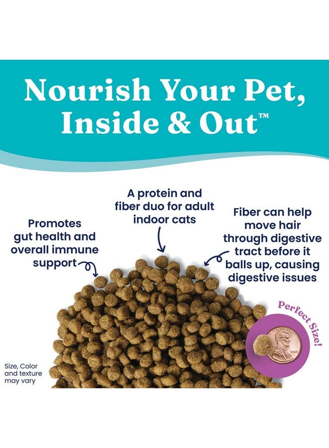 Solid Gold Indoor Dry Cat Food - Let's Stay in Cat Food Dry Kibble for Indoor Cats - Hairball & Sensitive Stomach - Grain & Gluten Free - Probiotics & Fiber for Digestive Health - Chicken - 6lb - Image 2