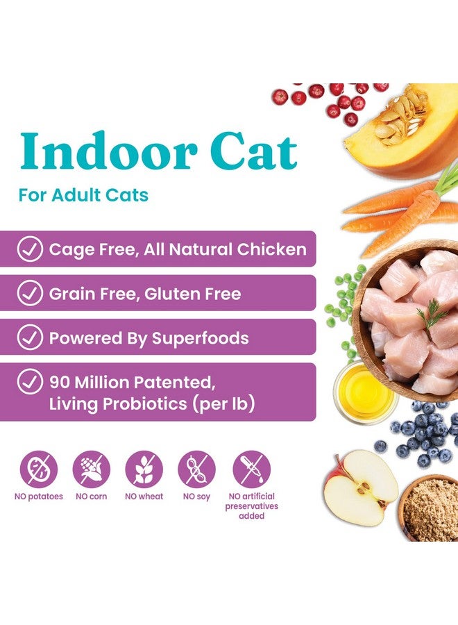 Solid Gold Indoor Dry Cat Food - Let's Stay in Cat Food Dry Kibble for Indoor Cats - Hairball & Sensitive Stomach - Grain & Gluten Free - Probiotics & Fiber for Digestive Health - Chicken - 6lb - Image 1