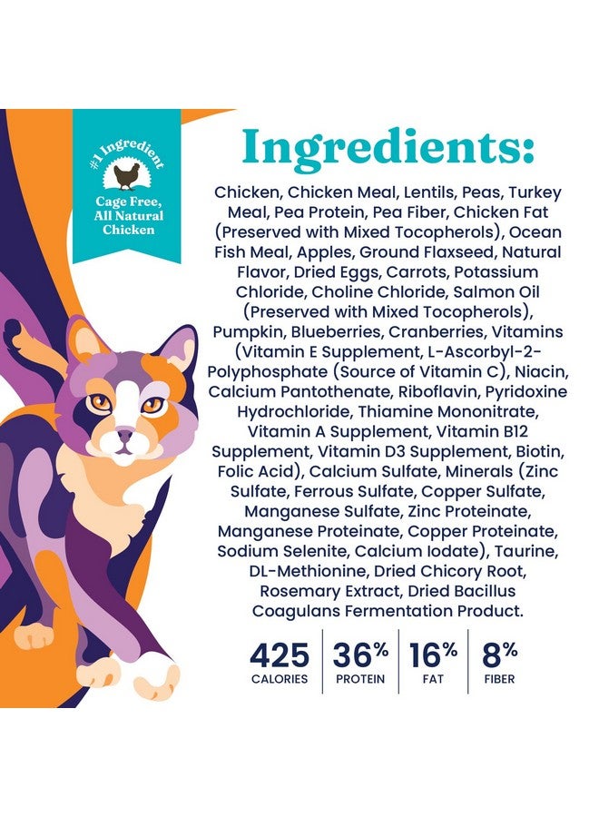 Solid Gold Indoor Dry Cat Food - Let's Stay in Cat Food Dry Kibble for Indoor Cats - Hairball & Sensitive Stomach - Grain & Gluten Free - Probiotics & Fiber for Digestive Health - Chicken - 6lb - Image 4