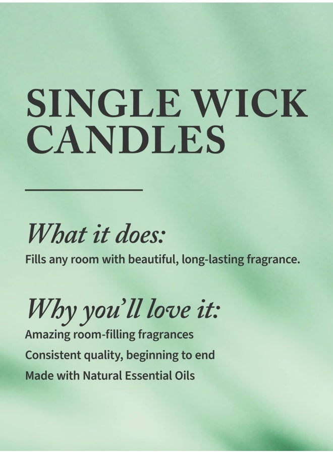 Bath & Body Works Sugared Lemon Zest Single Wick Candle - Image 2