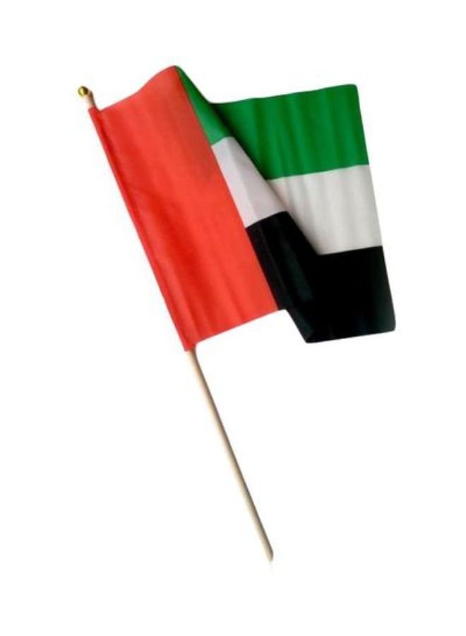 أكاليكس العلم الوطني الإماراتي بعصا أخضر / أبيض / أسود