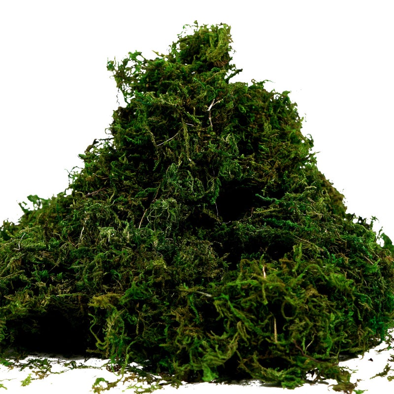 BYHER Artificial Moss Fake Green Grass for Centerpieces Home Kitchen Garden Decor (3.5OZ, Fresh) - Image 4