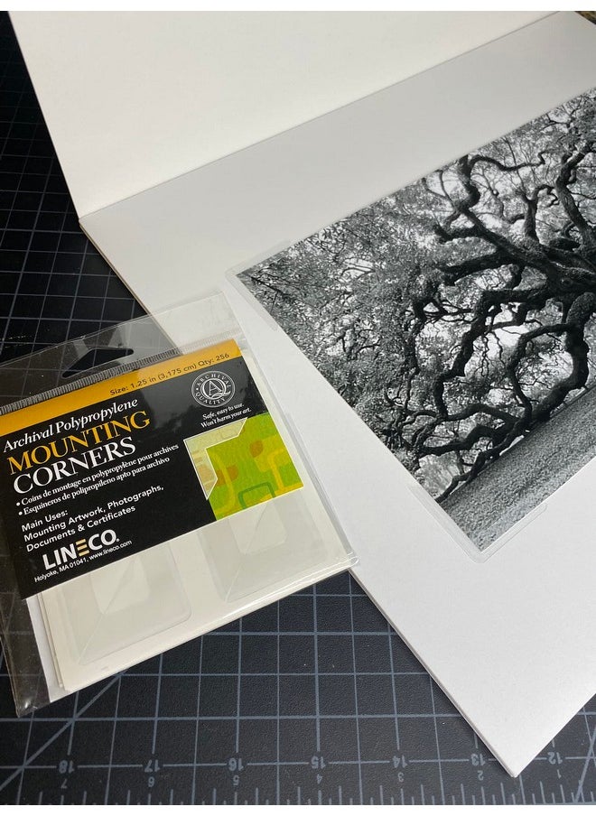 Lineco Lineco Archival Polypropylene Mounting Corners, Self Adhesive Clear Photo Corners, Acid-Free, 1.25 Inches, Mounting Artwork, Photographs, Documents.  - Image 3