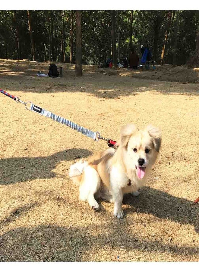 Yangbaga Dog Leash Extender, Shock Absorber Bungee Leash Attachment, Durable Nylon Dog Tie Out Extension with Stainless Steel Swivel Clips - Image 5