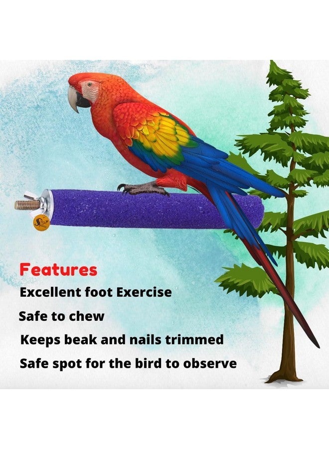 Perch Combo Of 4  8 Inches Natural Wood Rough Sand Perches | Exercise, Grinding Nail, Playstand, Training, Cage Accessories |Finches, Parrot, Budgies, Cockatiels (Pack Of 2) - Image 3