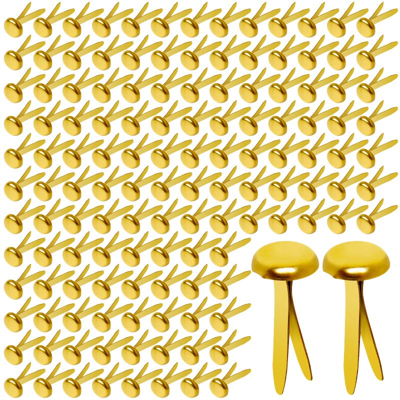 Hapy Shop Paper Brass Fasteners 34Inch Metal Brass Brads Round Brads for Paper Crafts Making DIY 300 Pack