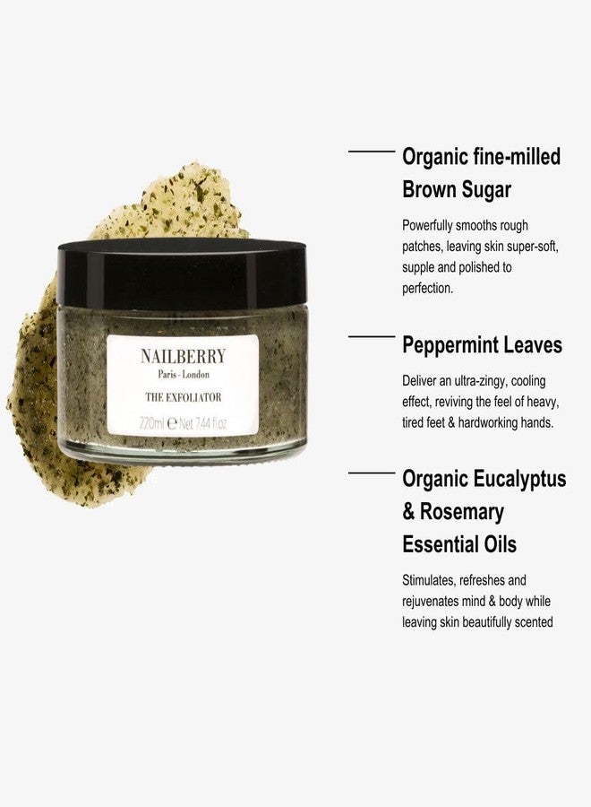 Nailberry Powerful Sugar Body Exfoliator | Hand and Foot Scrub with Brown Sugar | Exfoliating Scrub for Smooth Skin | Sunflower & Sesame Oils | Peppermint, Eucalyptus & Rosemary | 100% Natural | 50 ml - Image 2