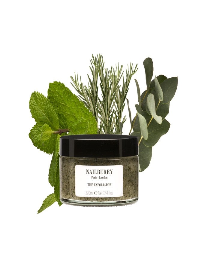 Nailberry Powerful Sugar Body Exfoliator | Hand and Foot Scrub with Brown Sugar | Exfoliating Scrub for Smooth Skin | Sunflower & Sesame Oils | Peppermint, Eucalyptus & Rosemary | 100% Natural | 50 ml - Image 3