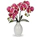 Briful Orchids Artificial Flowers Pink Faux Orchids with Ceramic Vase Fake Phalaenopsis Orchid Plants for Home Office - Image 2