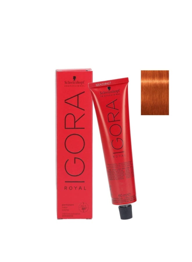 Schwarzkopf Igora Royal Permanent Color 8-77 02/13 Light Blonde Covers 60ml - Image 1
