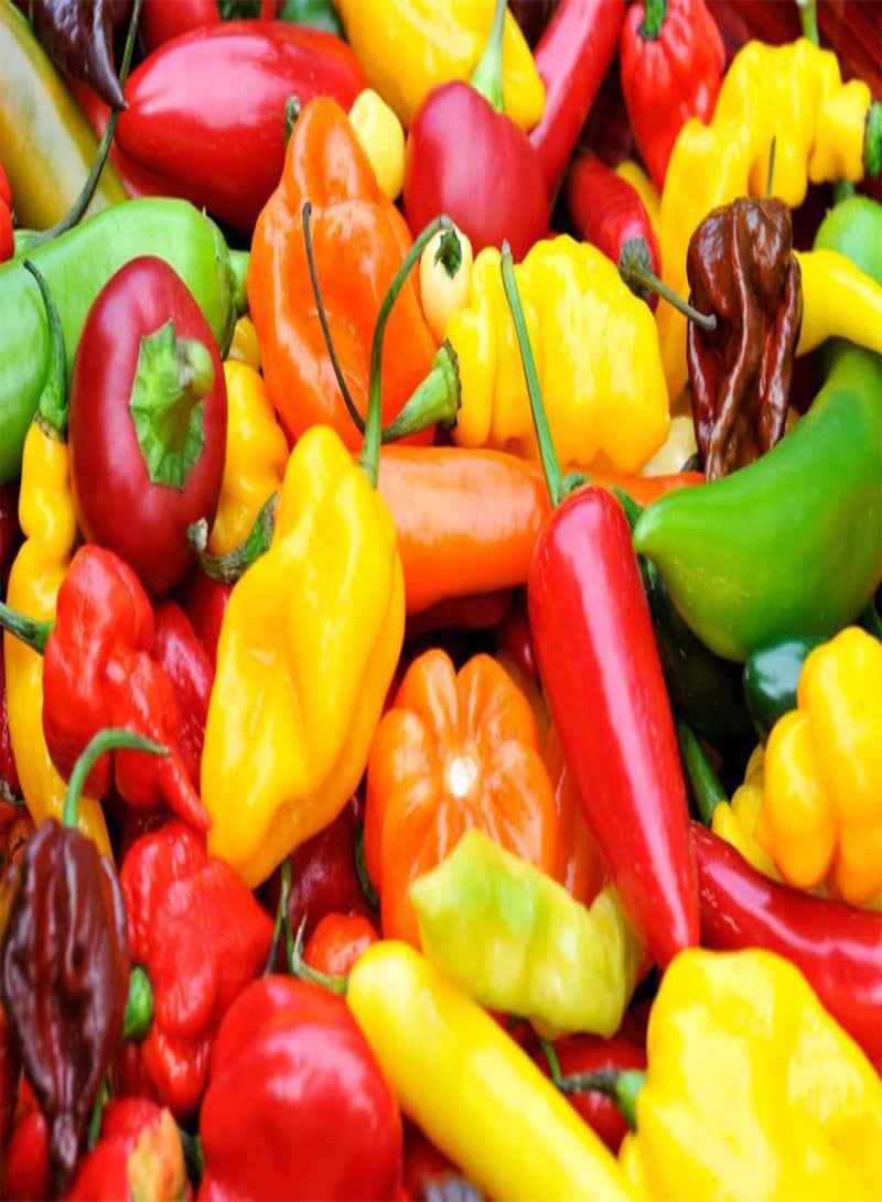 GGOOT Ultra Hot Mix Peppers -Chili Mix- Hot Pepper -> 100 Seeds - Image 4