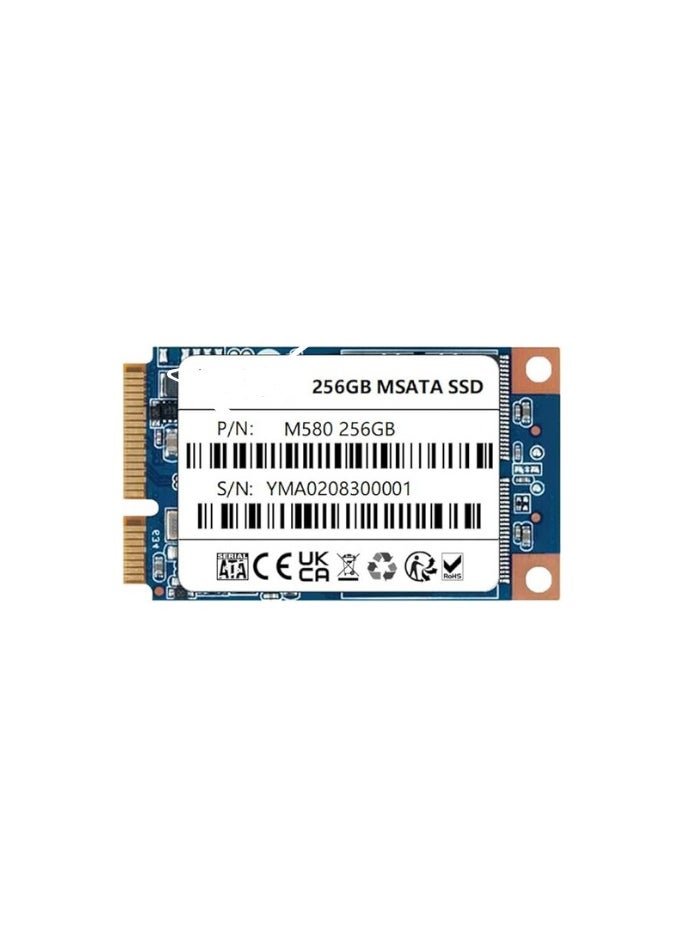 ماركة غير محددة محرك أقراص SSD داخلي mSATA III – سعة 256 جيجابايت لتخزين فائق السرعة  - Image 1