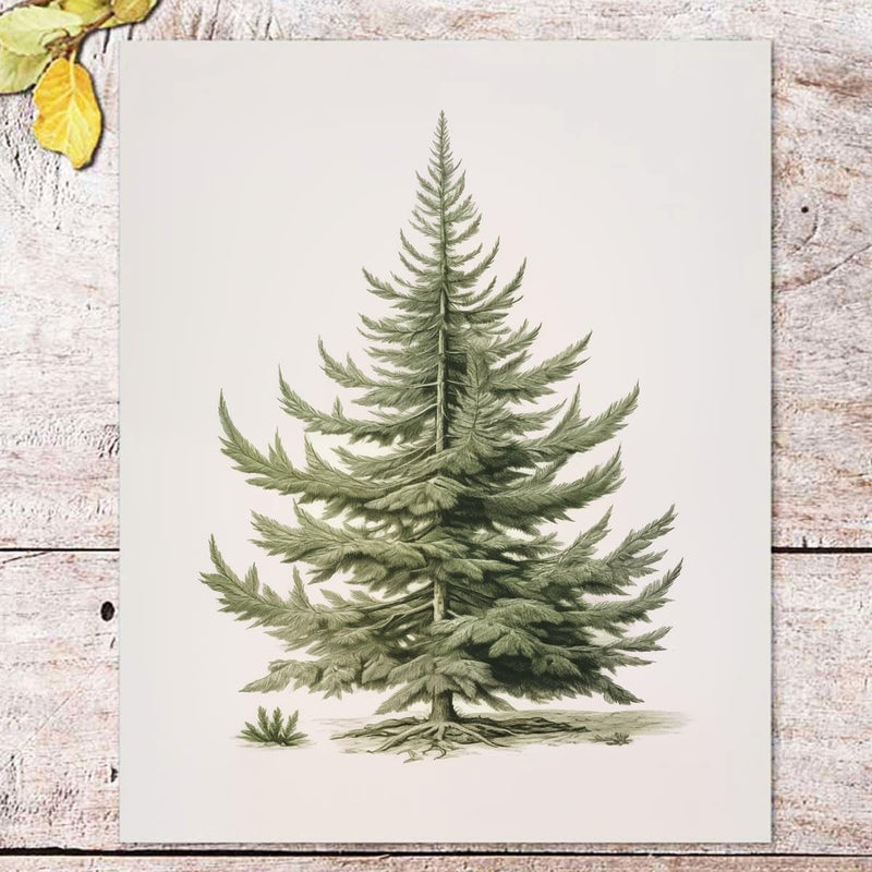 ZEARPT Christmas Tree Art Print  Vintage Fir Botanical Sketch  Christmas Tree Painting Print  Pine Tree Antique Print  Christmas Tree Wall Art - Image 1