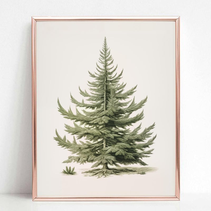 ZEARPT Christmas Tree Art Print  Vintage Fir Botanical Sketch  Christmas Tree Painting Print  Pine Tree Antique Print  Christmas Tree Wall Art - Image 4
