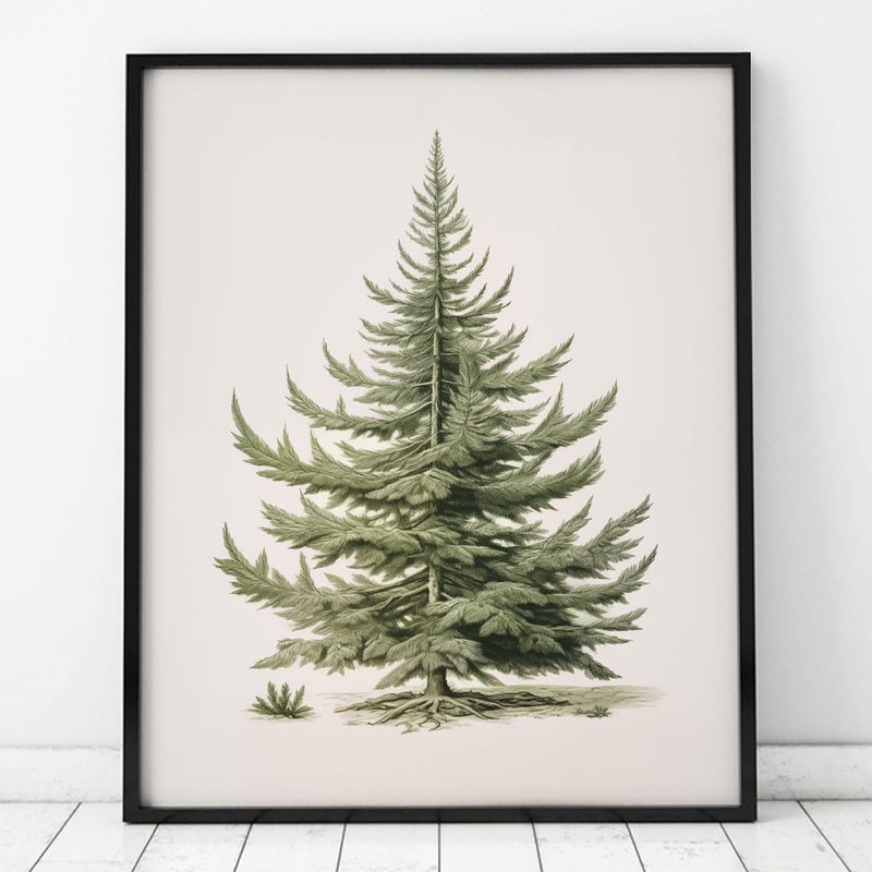 ZEARPT Christmas Tree Art Print  Vintage Fir Botanical Sketch  Christmas Tree Painting Print  Pine Tree Antique Print  Christmas Tree Wall Art - Image 3