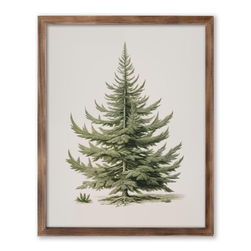 ZEARPT Christmas Tree Art Print  Vintage Fir Botanical Sketch  Christmas Tree Painting Print  Pine Tree Antique Print  Christmas Tree Wall Art - Image 2