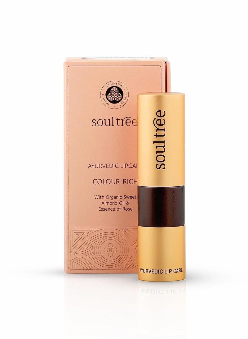 SoulTree Ayurvedic Lipstick Wild Honey 811 4gm - Image 4