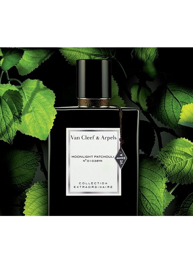 Van Cleef & Arpels Moonlight Patchouli EDP 75ml | Best Price UAE