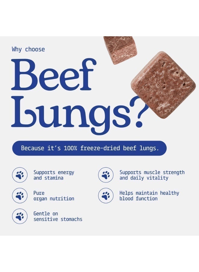 Carnibites Freeze-Dried Beef Lungs 30g | High-Protein Light Treats for Cats & Dogs - Image 3