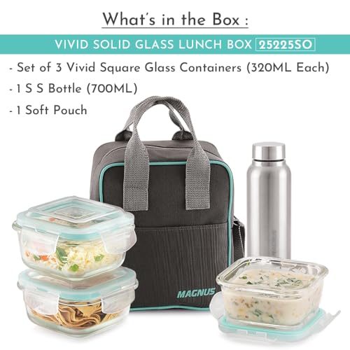 Magnus Vivid Glass Lunch Box with Vertical Pouch and Fixed Clip, 1 S S Bottle (700ml) and 3 Square Airtight, Leakproof, Microwave Safe Borosilicate Glass Containers, 320 ML Each - Image 2