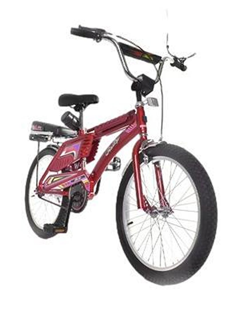Rally Classic Metallic Bicycle With Disc Brakes Size 20 For Kids 