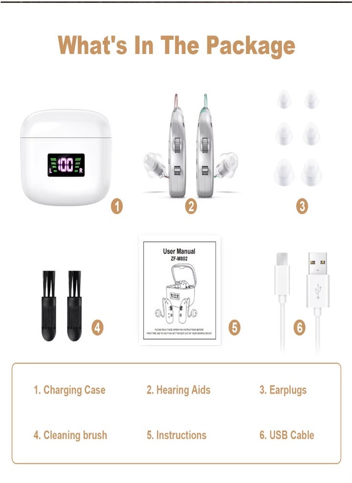 Generic - New hearing aid for seniors, noise reduction, amplifier, with LED charging case, suitable for moderate to severe hearing loss (silver) - Image 1