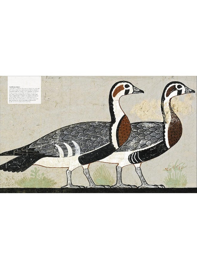 null - Ancient Egypt: The Definitive Visual History - Image 1