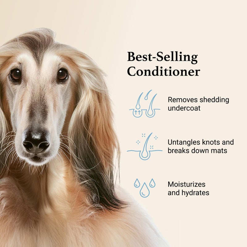 iGroom Deshedding & Detangling Dog Conditioner, Luxury Pet Beauty Care, Loosen Tangles + Unwanted Undercoat, Adds Shine + Volume, Made in USA (16 OZ) - Image 3