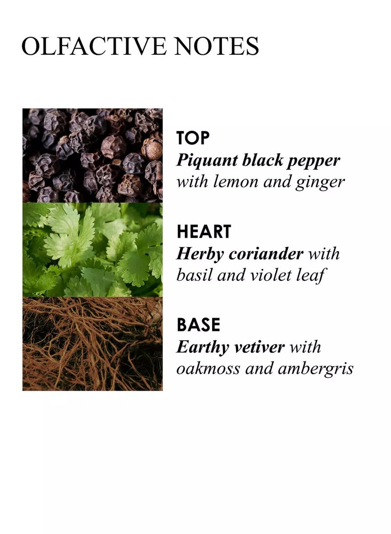 MOLTON BROWN Re-Charge Black Pepper Aroma Reeds Refill 150ml - Image 5