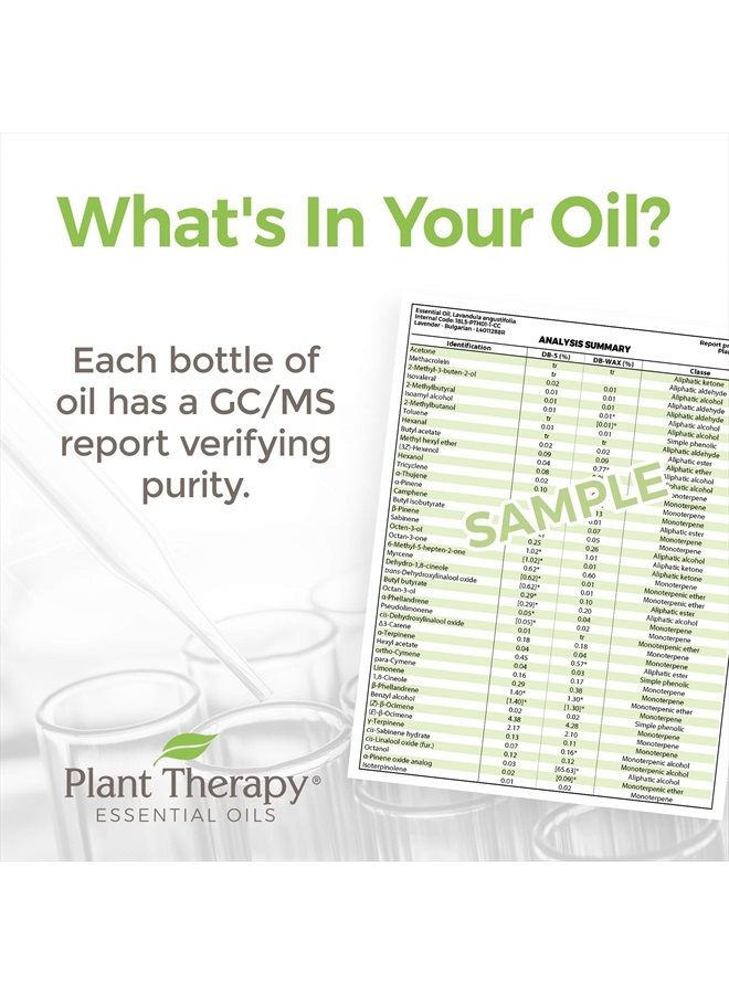 Plant Therapy زيت المردقوش العطري الحلو | 100% نقي، غير مخفف، طبيعي للعلاج بالروائح، درجة علاجية | 10 ملليلتر (1/3 أونصة) - Image 4