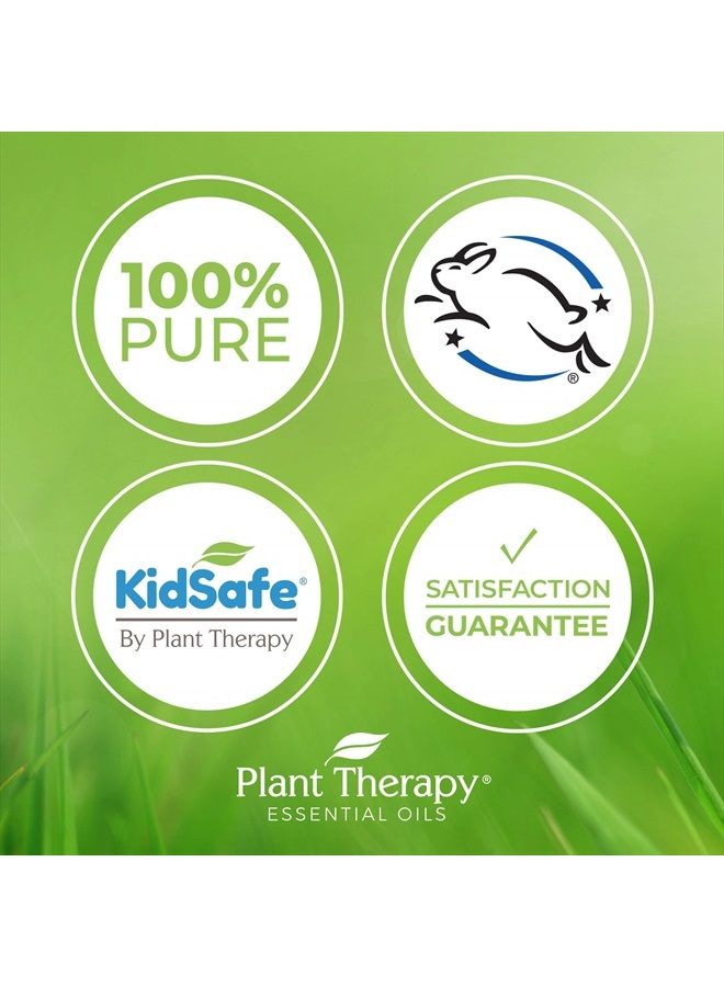 Plant Therapy زيت المردقوش العطري الحلو | 100% نقي، غير مخفف، طبيعي للعلاج بالروائح، درجة علاجية | 10 ملليلتر (1/3 أونصة) - Image 3