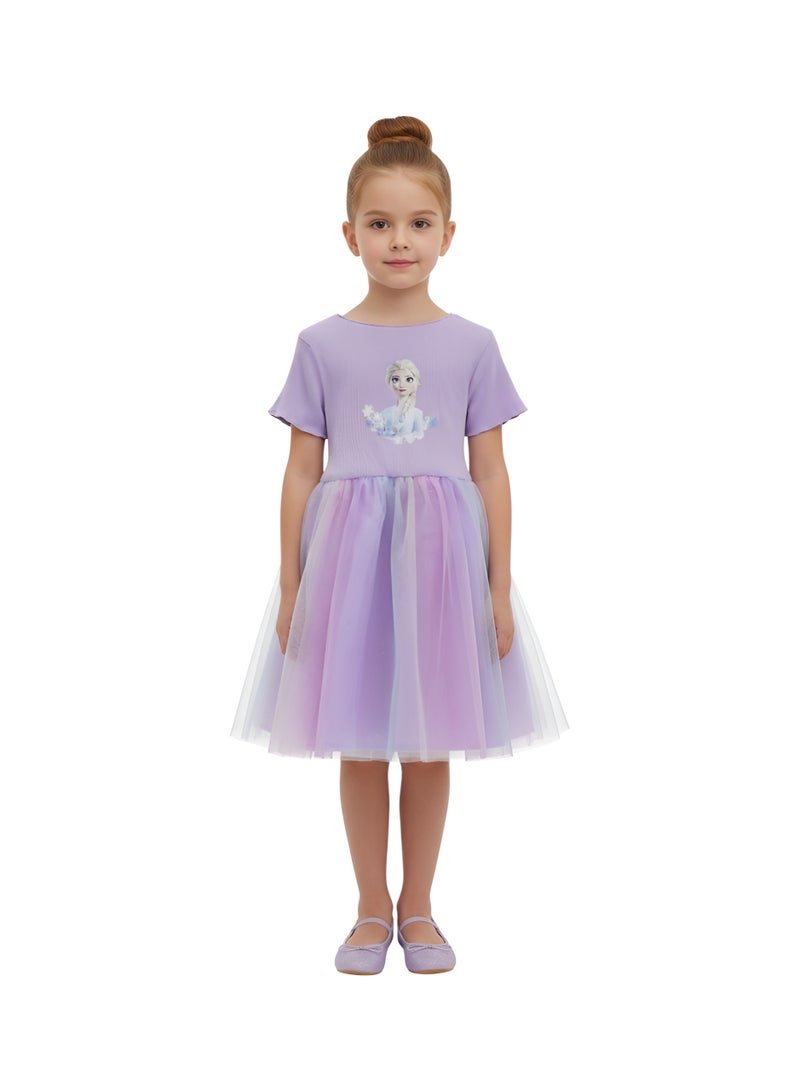 Bidani Elsa and Anna Purple Frost Dress - Image 1