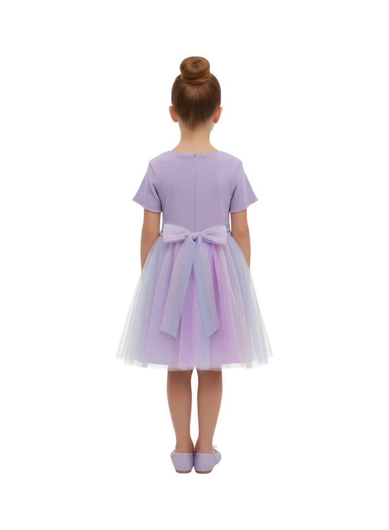 Bidani Elsa and Anna Purple Frost Dress - Image 3