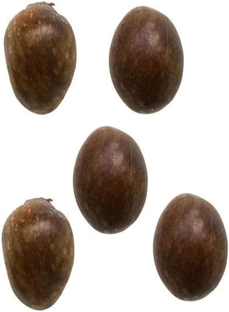 جي جوت بذور سفرجل خضراء للحدائق - كيس واحد من بذور سفرجل غير معدلة وراثيًا، فاكهة صغيرة غزيرة، صالحة للأكل - بذور سفرجل - Image 5